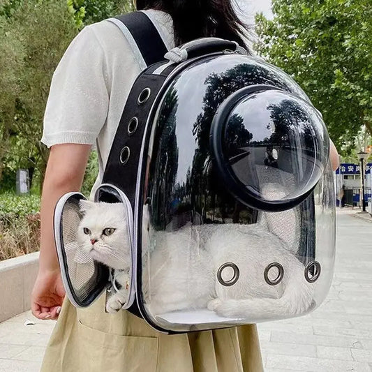 Pet Cat Carrying Bag Space Pet